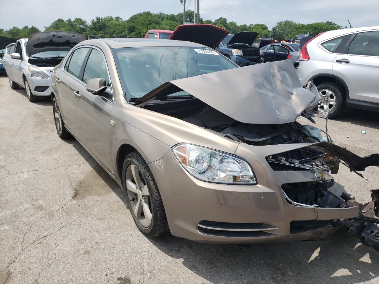 CHEVROLET MALIBU 2LT 2008 with VIN 1G1ZJ57B38F216824 - Photo from auction