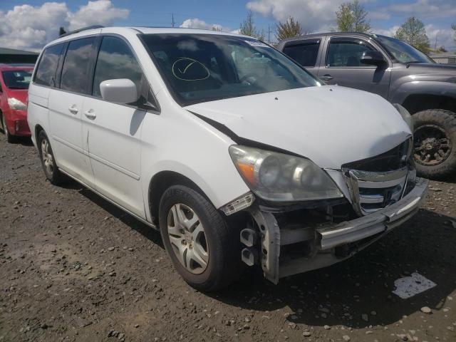 HONDA ODYSSEY EX 2007 with VIN 5FNRL38747B455141 - Photo from auction