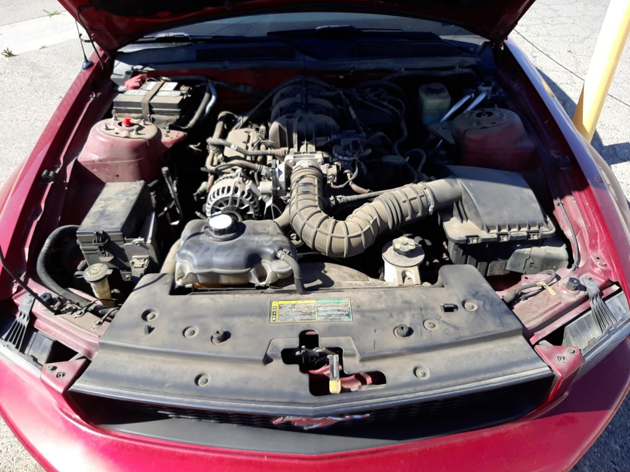 Photo 7 from auction – 2006 FORD MUSTANG with VIN 1ZVFT80N265122265