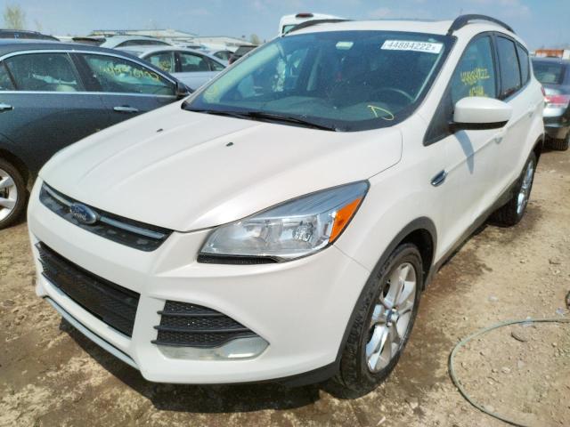 Photo 2 from auction – 2014 FORD ESCAPE SE with VIN 1FMCU0G9XEUA75631