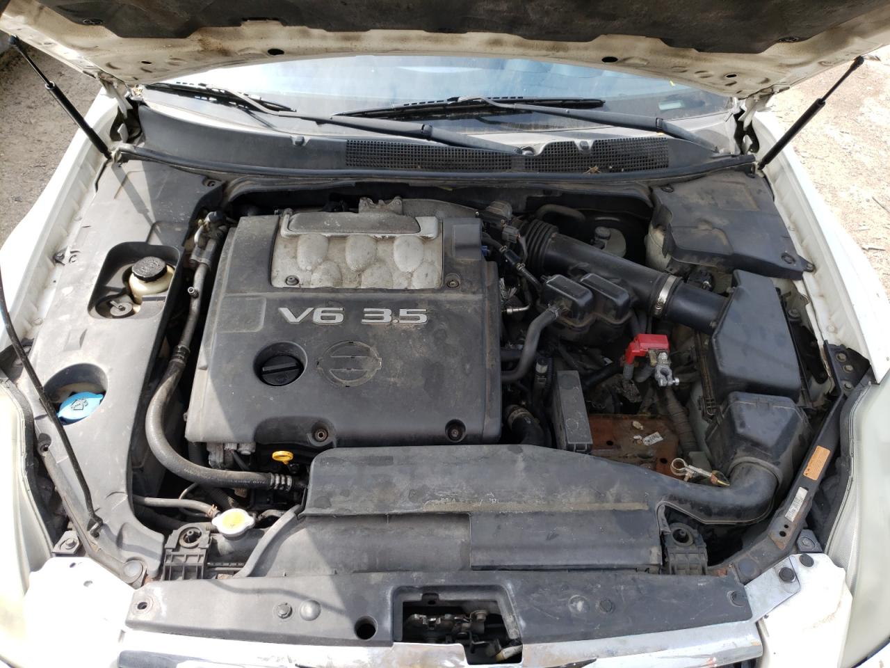 Photo 7 from auction – 2006 NISSAN MAXIMA SE with VIN 1N4BA41E56C825696