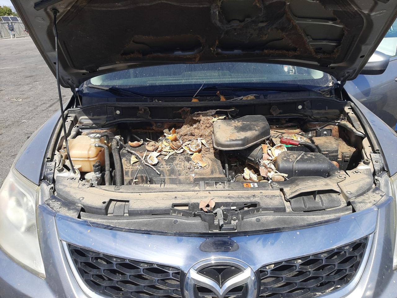 Photo 7 from auction – 2010 MAZDA CX-9 with VIN JM3TB2MV3A0218774