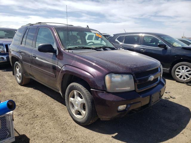 CHEVROLET TRAILBLAZE 2008 with VIN 1GNDT13S182202252 - Photo from auction