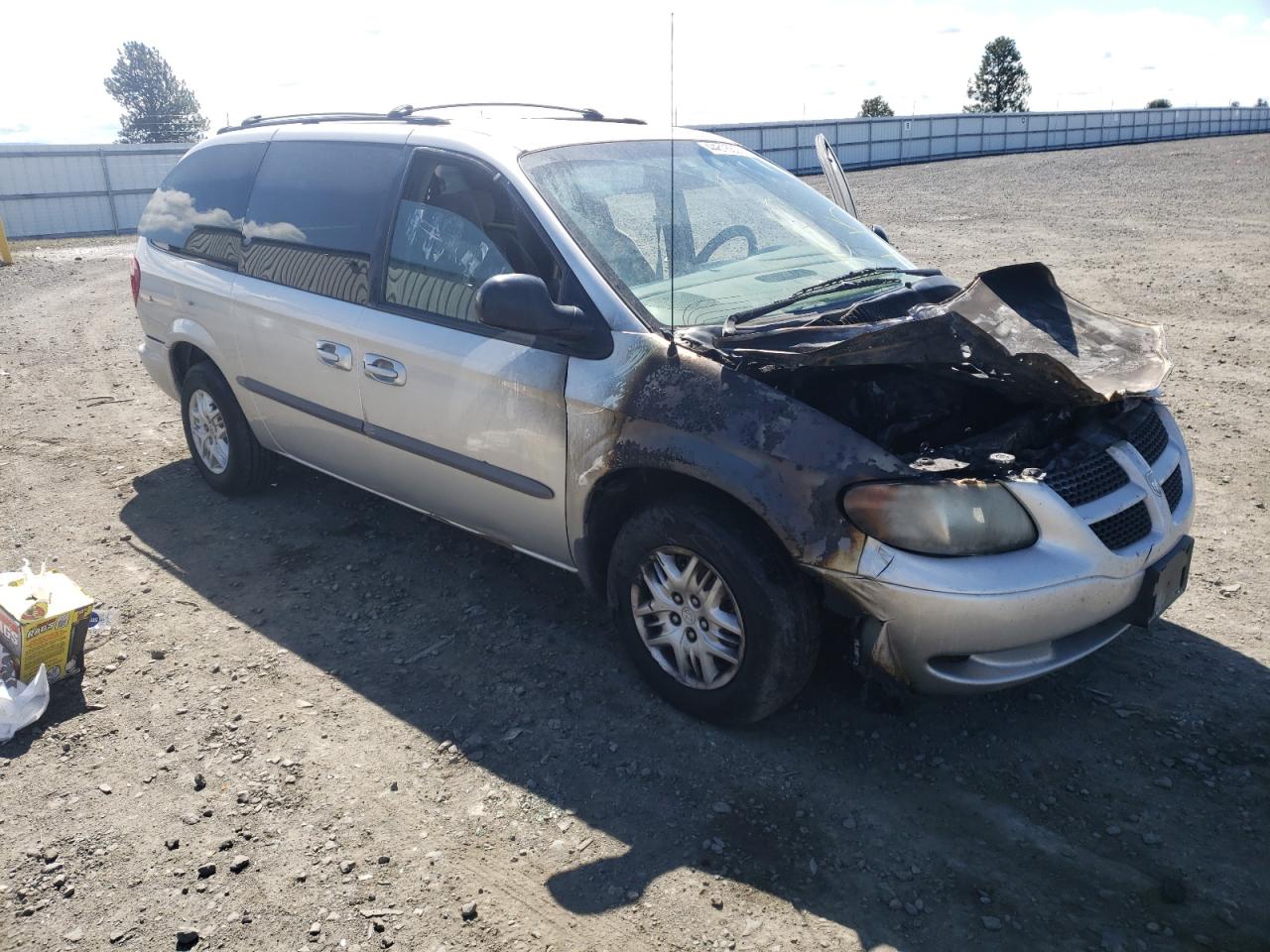 DODGE GRAND CARA 2002 with VIN 2B4GP44R22R587138 - Photo from auction