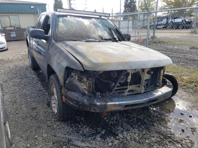 CHEVROLET SILVERADO 2009 with VIN 1GCEK29009Z150746 - Photo from auction