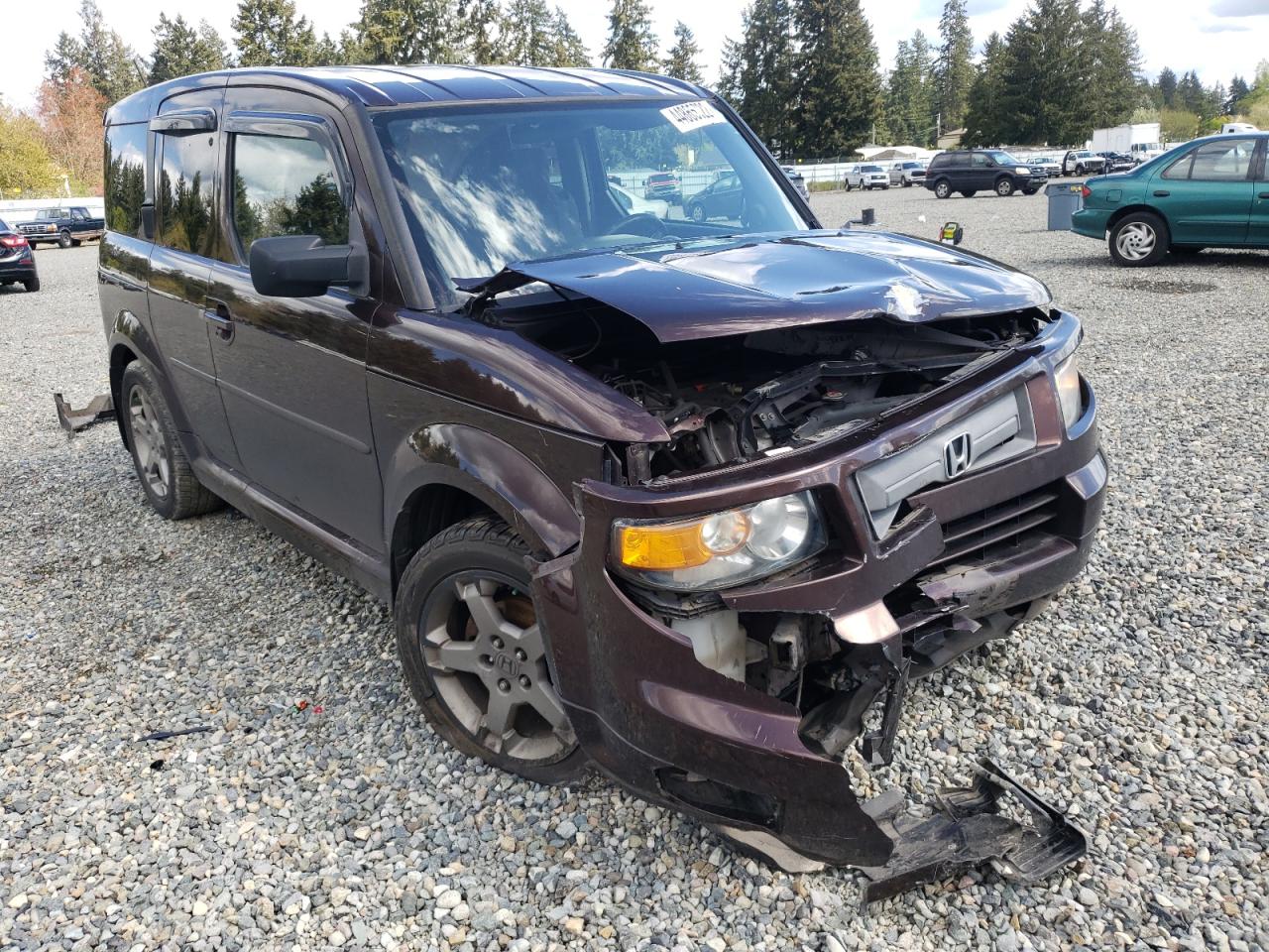 HONDA ELEMENT SC 2007 with VIN 5J6YH18927L012674 - Photo from auction