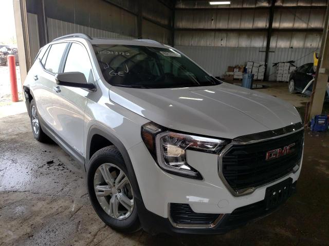 GMC TERRAIN SL 2022 with VIN 3GKALTEV6NL145253 - Photo from auction