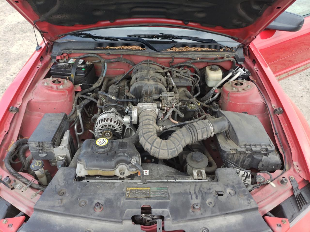 Photo 7 from auction – 2008 FORD MUSTANG with VIN 1ZVHT84N385209100