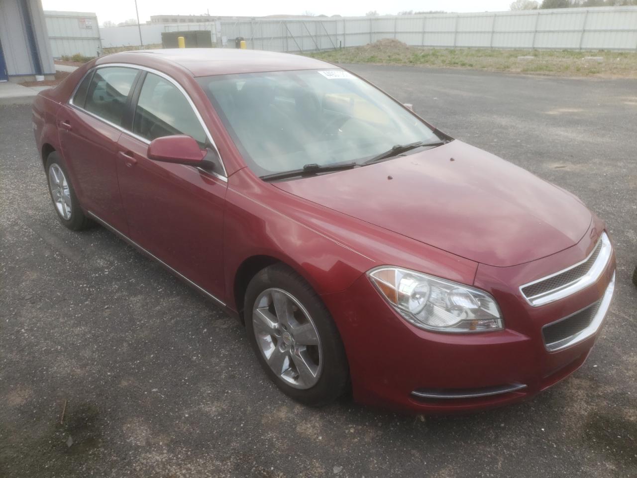 CHEVROLET MALIBU 2LT 2010 with VIN 1G1ZD5EB7AF133039 - Photo from auction