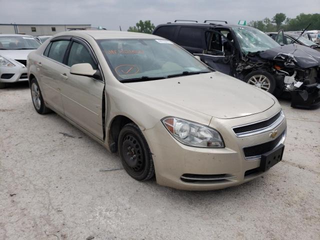 CHEVROLET MALIBU 1LT 2010 with VIN 1G1ZC5EB0AF321808 - Photo from auction
