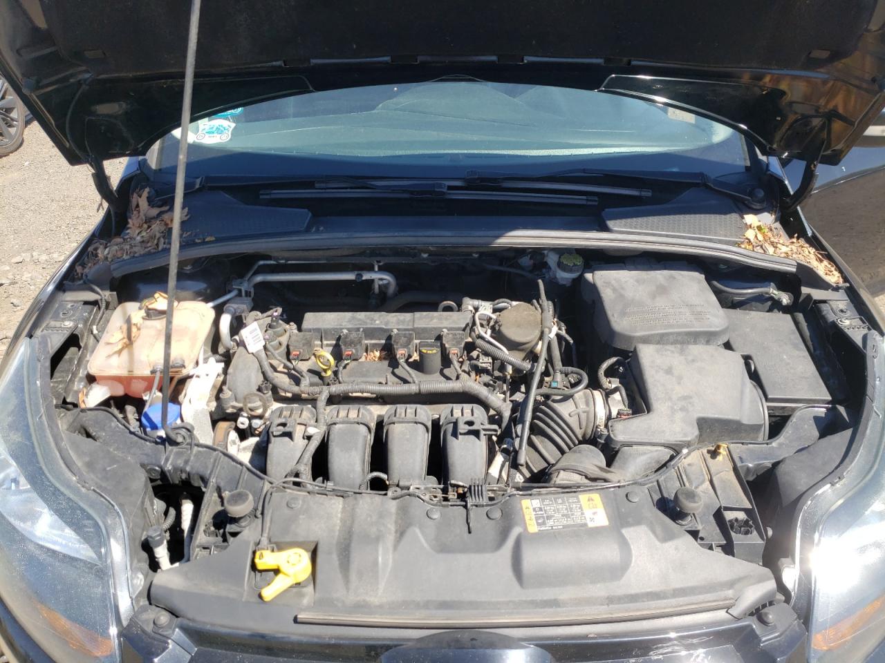 Photo 7 from auction – 2014 FORD FOCUS TITA with VIN 1FADP3J27EL386152