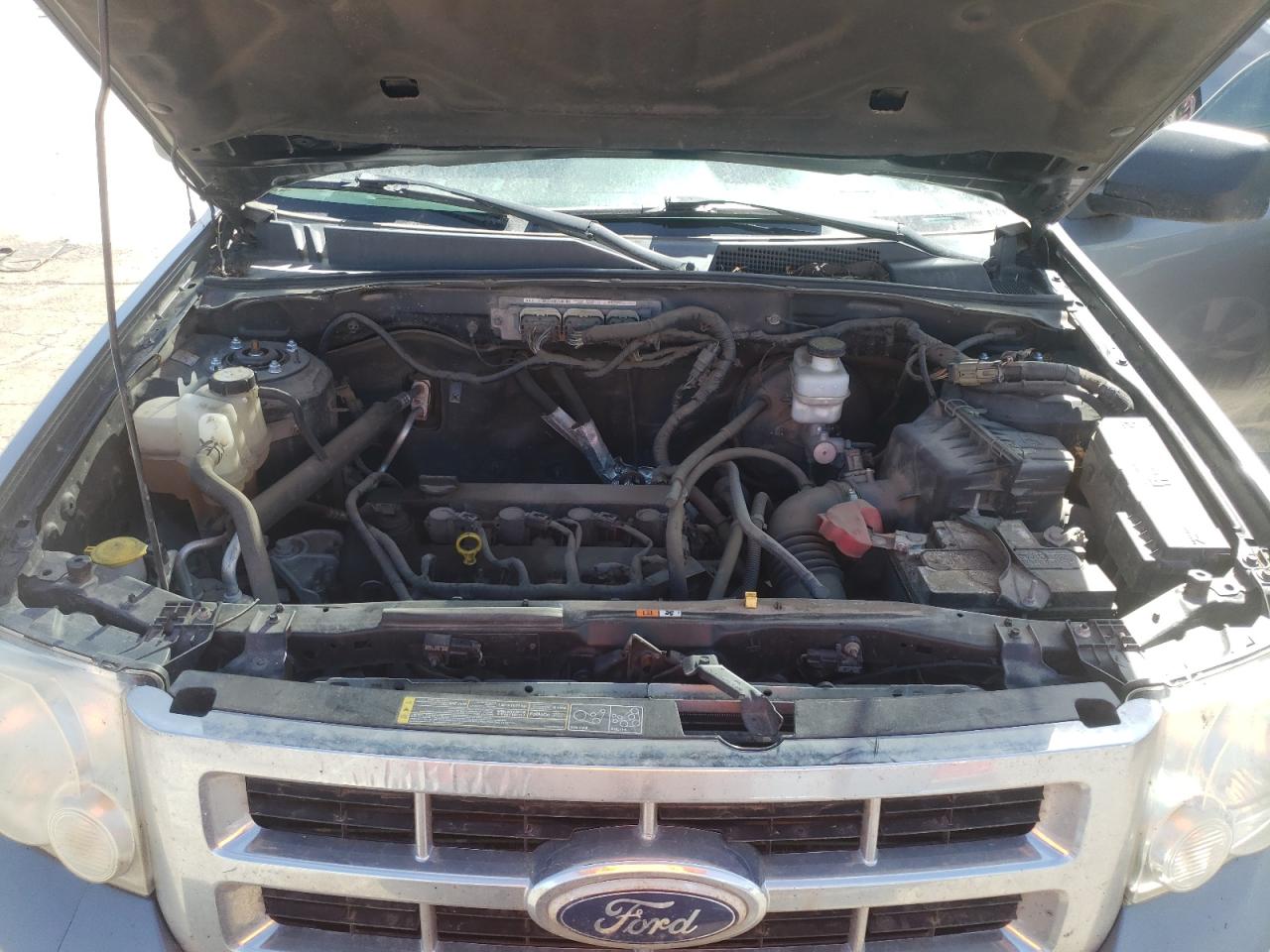 Photo 7 from auction – 2010 FORD ESCAPE XLT with VIN 1FMCU9D78AKC42341