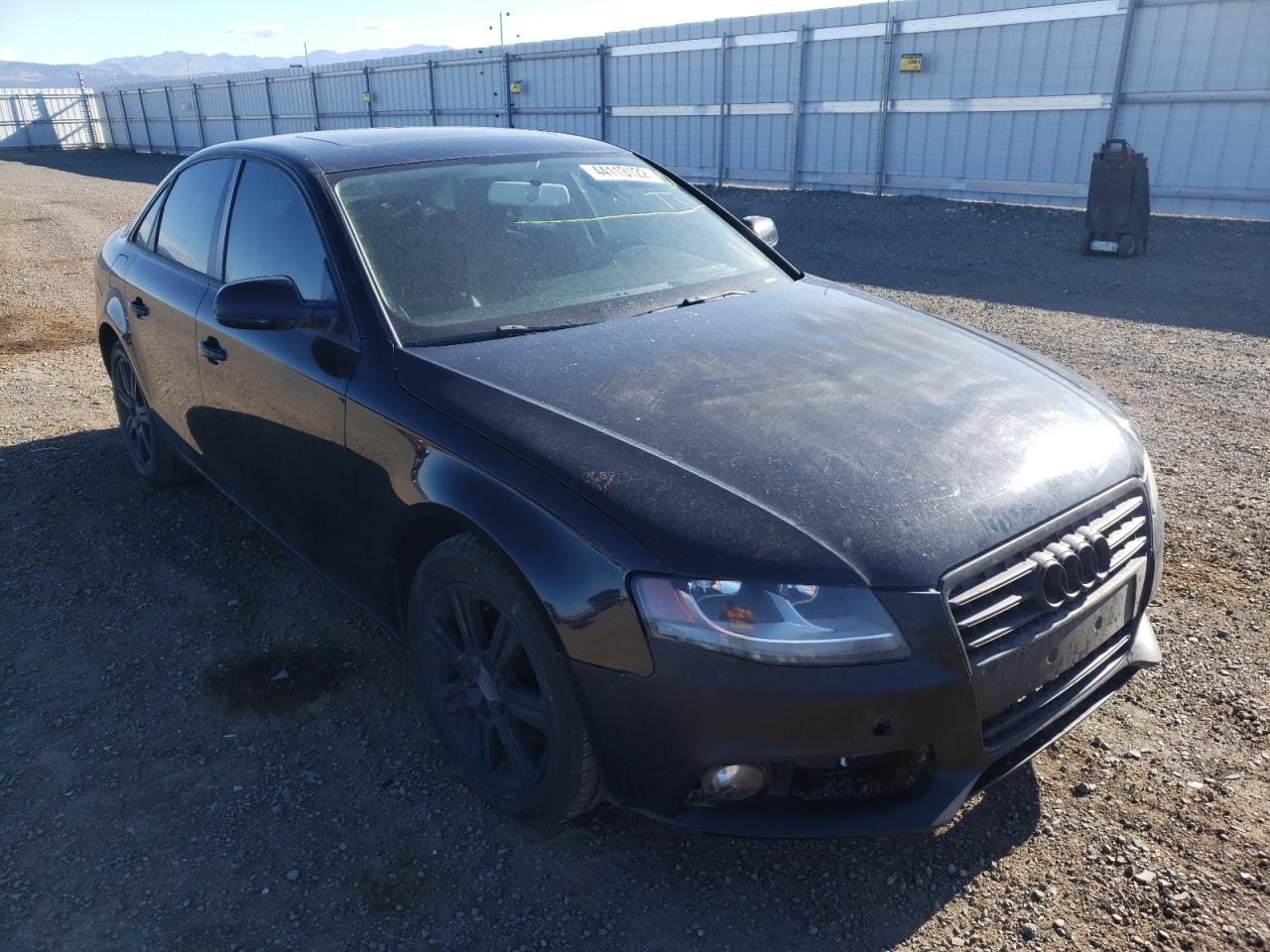 AUDI A4 PREMIUM 2010 with VIN WAUAFAFL1AN034458 - Photo from auction
