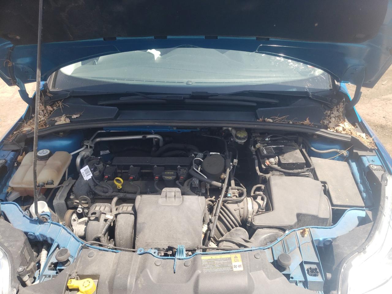Photo 7 from auction – 2013 FORD FOCUS SE with VIN 1FADP3F25DL122421