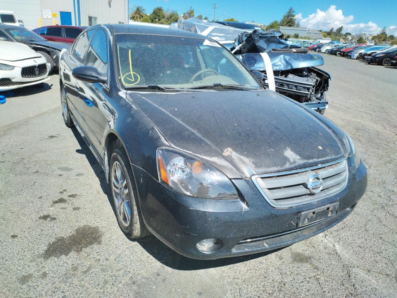 NISSAN ALTIMA SE 2003 with VIN 1N4BL11D93C337346 - Photo from auction