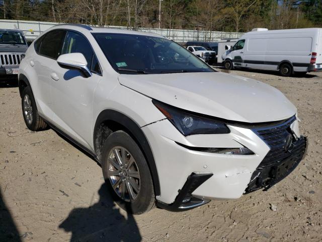 LEXUS NX 300 BAS 2021 with VIN JTJDARDZ2M5024334 - Photo from auction