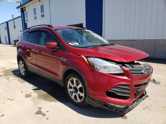 FORD ESCAPE SE 2014 with VIN 1FMCU0GX8EUA64464 - Photo from auction