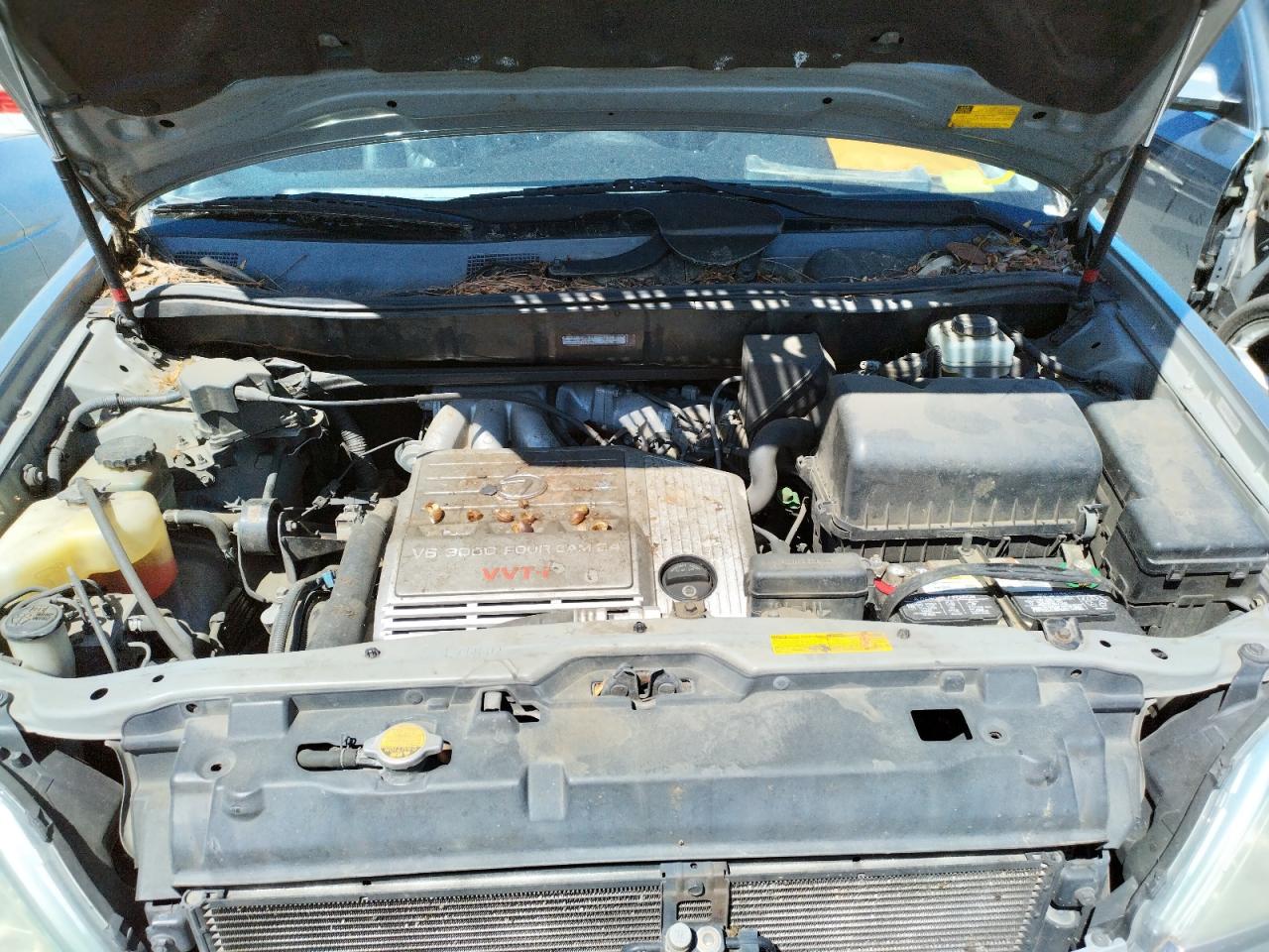 Photo 7 from auction – 2001 LEXUS RX 300 with VIN JTJHF10U410184318