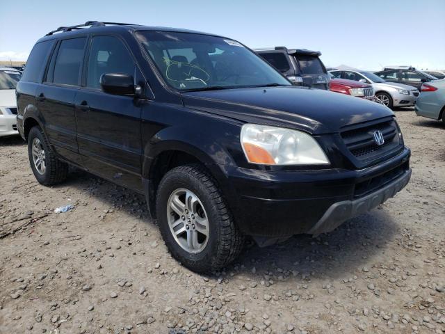 HONDA PILOT EXL 2005 with VIN 5FNYF185X5B068063 - Photo from auction