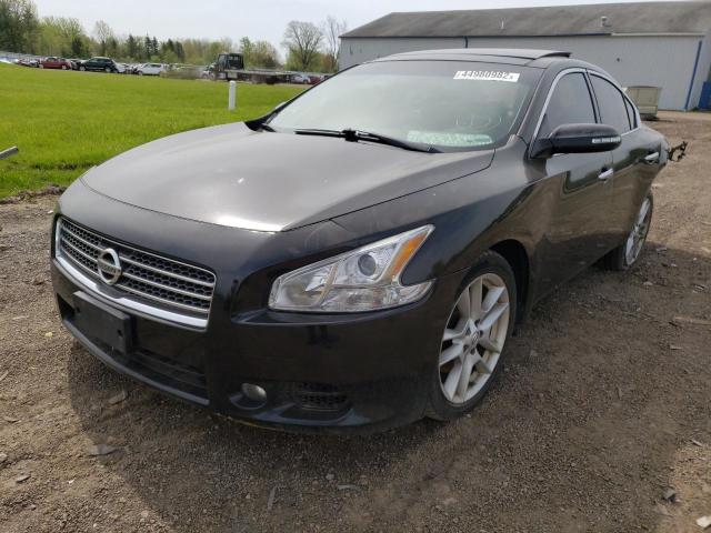 Photo 2 from auction – 2010 NISSAN MAXIMA S with VIN 1N4AA5AP7AC861532
