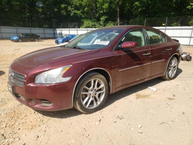 Photo 2 from auction – 2009 NISSAN MAXIMA S with VIN 1N4AA51E49C831091