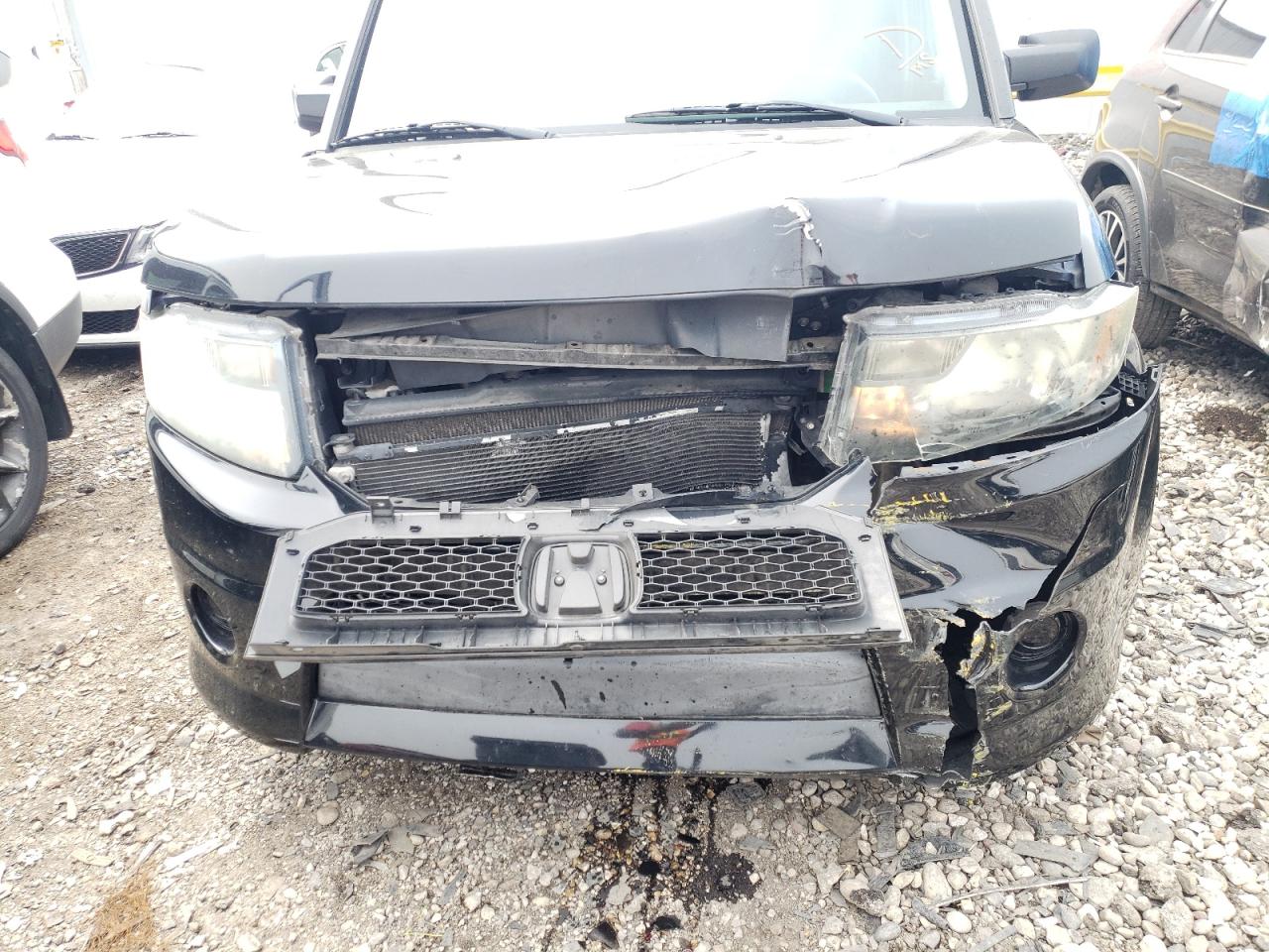 Photo 9 from auction – 2010 HONDA ELEMENT SC with VIN 5J6YH1H97AL006456