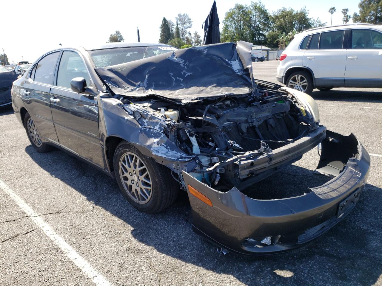 LEXUS ES 330 2004 with VIN JTHBA30G145038347 - Photo from auction