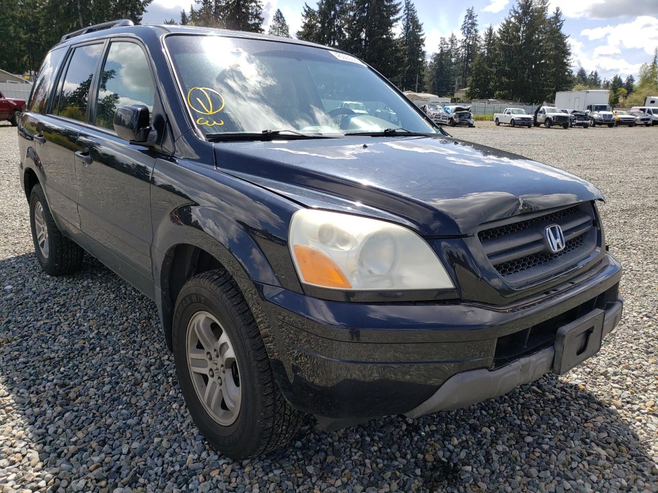 HONDA PILOT EXL 2005 with VIN 2HKYF18585H520111 - Photo from auction