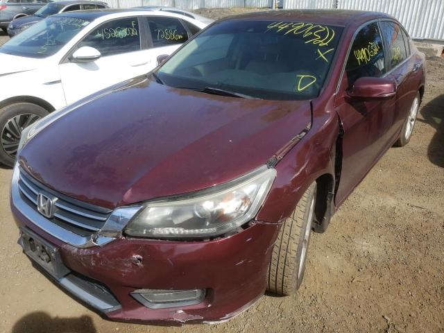 Photo 2 from auction – 2013 HONDA ACCORD EXL with VIN 1HGCR2F80DA254305
