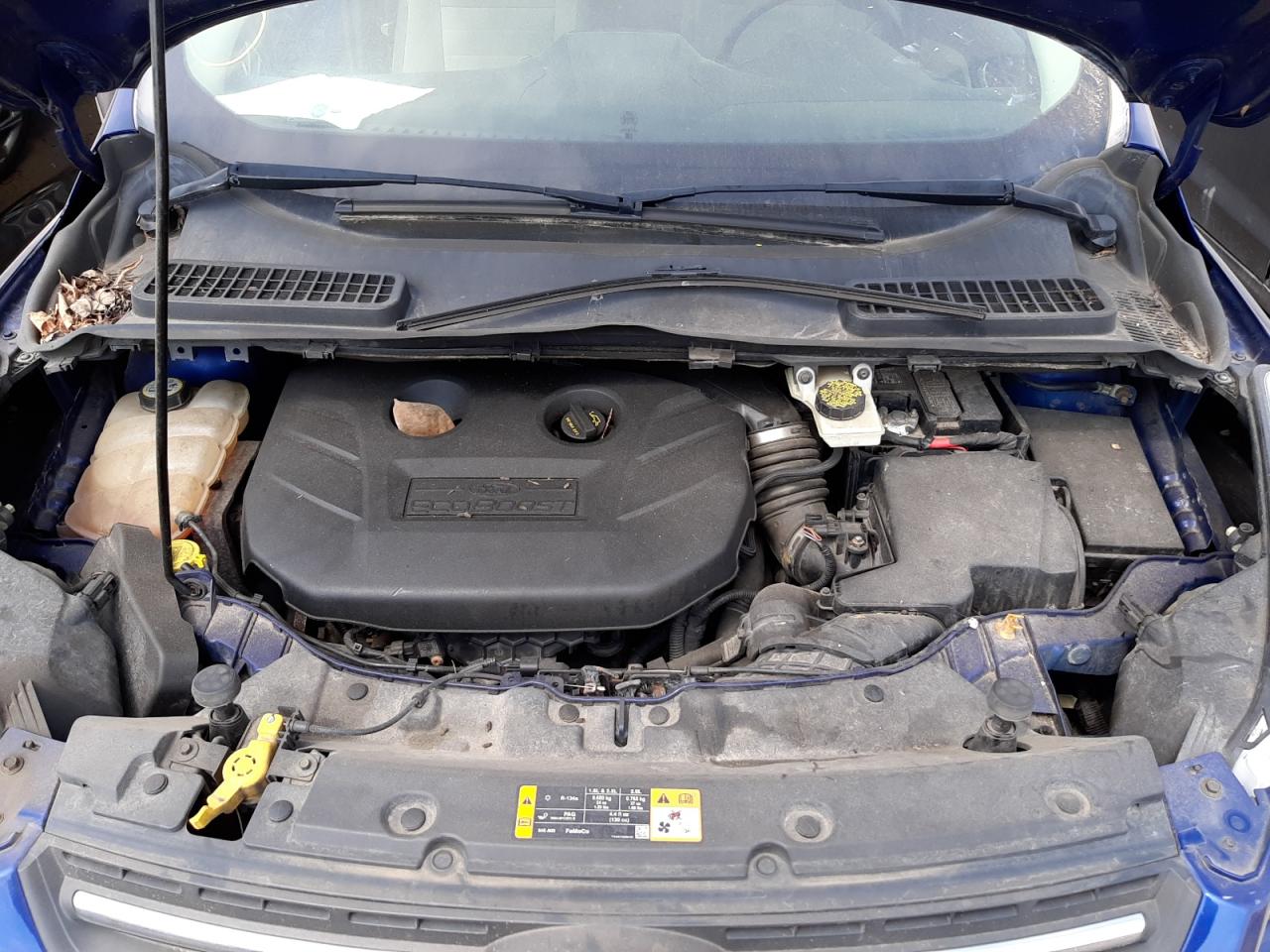 Photo 7 from auction – 2013 FORD ESCAPE SE with VIN 1FMCU9G96DUD94172