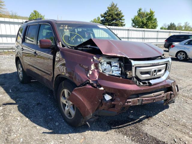 HONDA PILOT EXL 2011 with VIN 5FNYF4H56BB091708 - Photo from auction