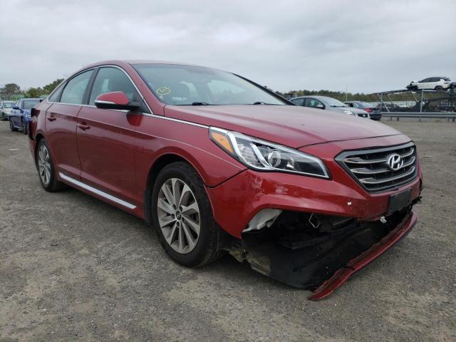 HYUNDAI SONATA SPO 2015 with VIN 5NPE34AF6FH223100 - Photo from auction