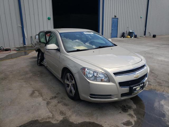 CHEVROLET MALIBU 1LT 2012 with VIN 1G1ZC5E0XCF293467 - Photo from auction