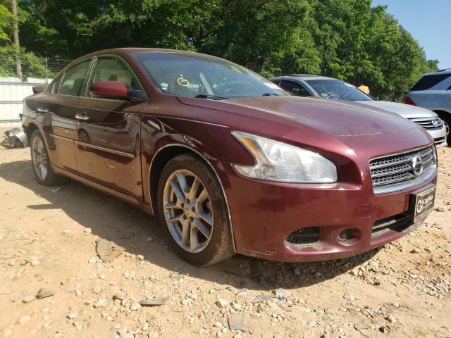NISSAN MAXIMA S 2009 with VIN 1N4AA51E49C831091 - Photo from auction