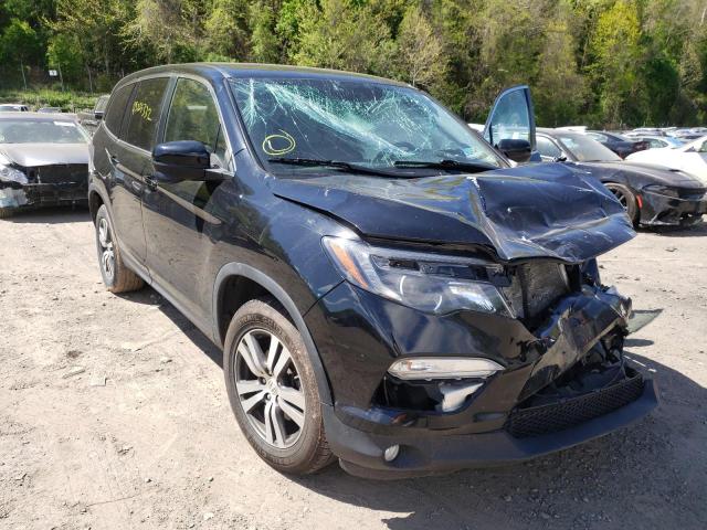 HONDA PILOT EX 2018 with VIN 5FNYF6H37JB049377 - Photo from auction