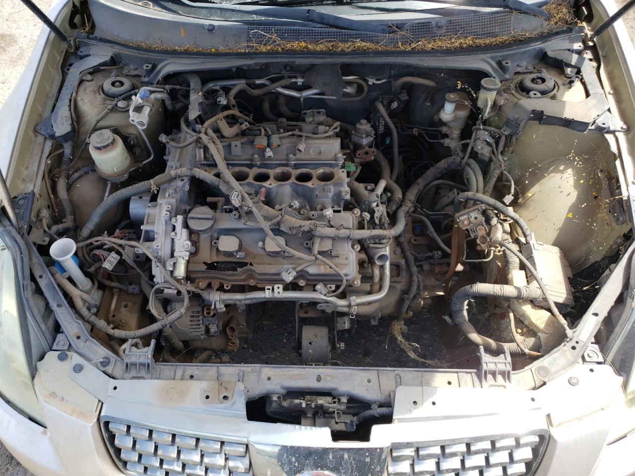Photo 7 from auction – 2004 NISSAN MAXIMA SE with VIN 1N4BA41E74C865937