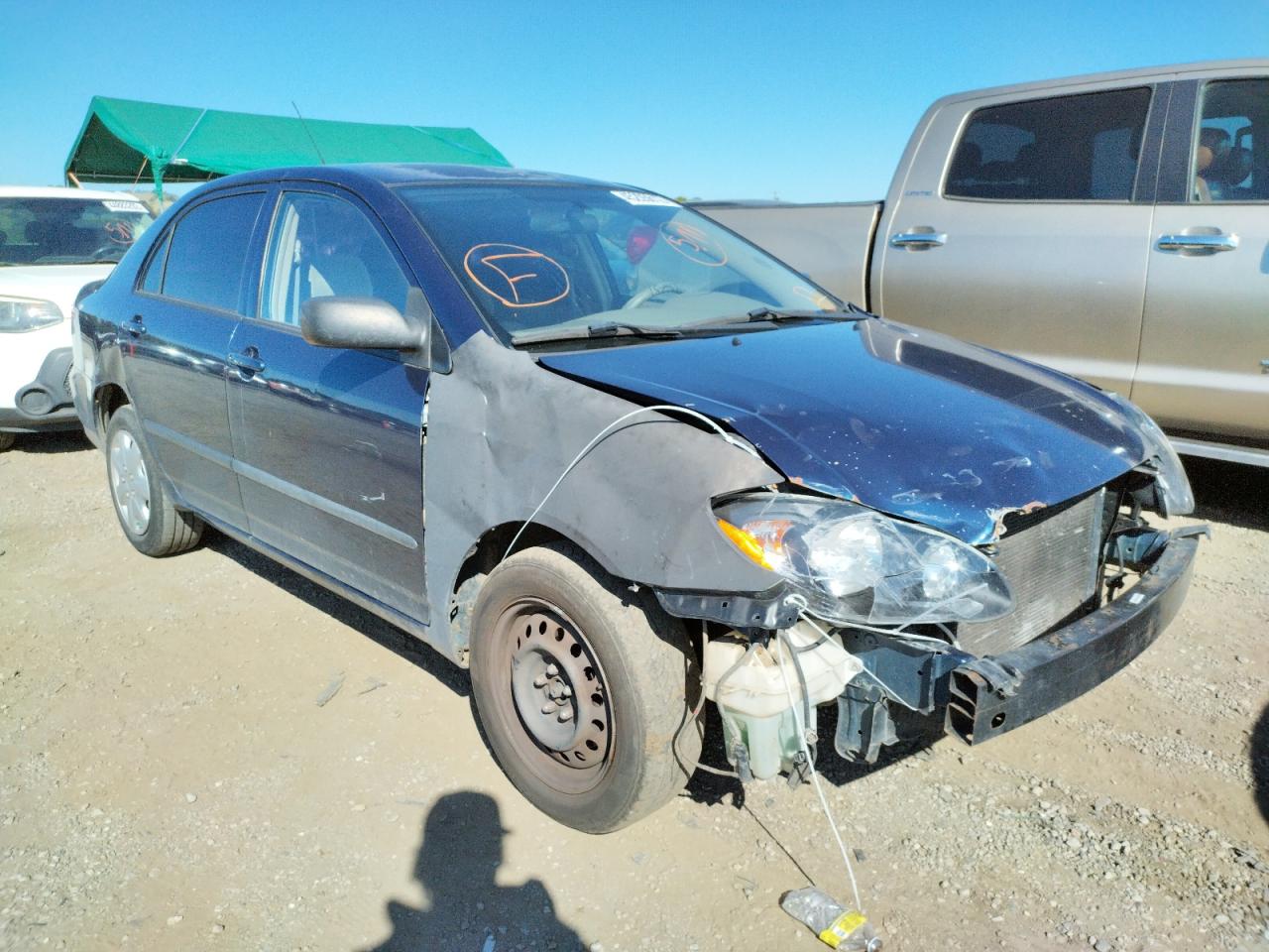 TOYOTA COROLLA CE 2003 with VIN 1NXBR32E53Z146282 - Photo from auction