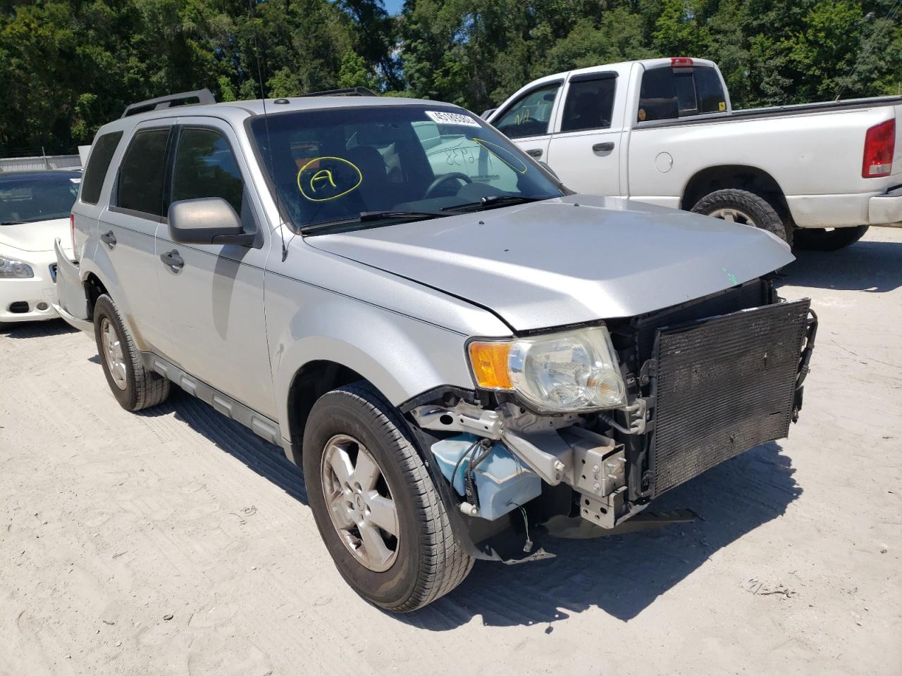 FORD ESCAPE XLT 2009 with VIN 1FMCU03789KD01977 - Photo from auction