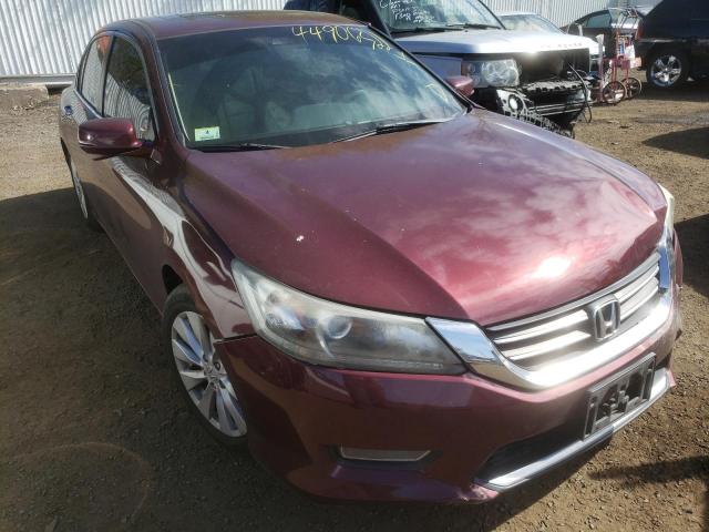 HONDA ACCORD EXL 2013 with VIN 1HGCR2F80DA254305 - Photo from auction