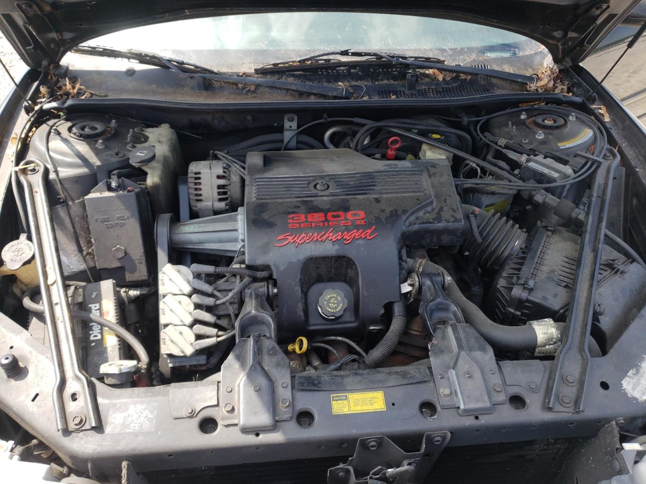 Photo 7 from auction – 1999 BUICK REGAL GS with VIN 2G4WF5219X1624014