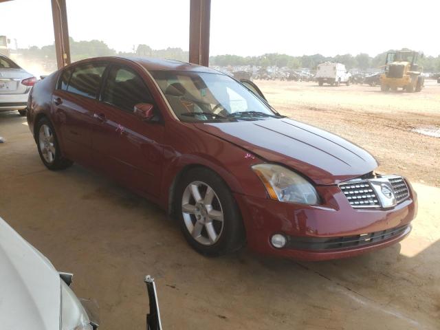 NISSAN MAXIMA SE 2006 with VIN 1N4BA41E96C831498 - Photo from auction