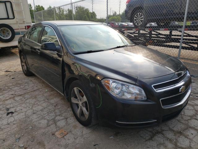 CHEVROLET MALIBU 1LT 2011 with VIN 1G1ZC5E19BF204589 - Photo from auction