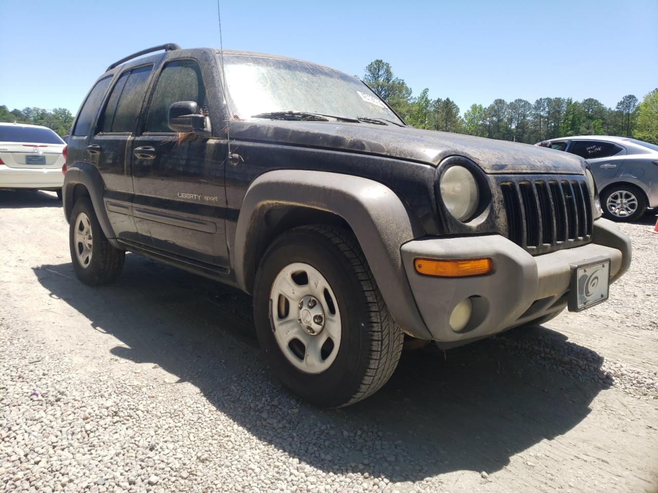JEEP LIBERTY SP 2003 with VIN 1J4GK48K63W725099 - Photo from auction