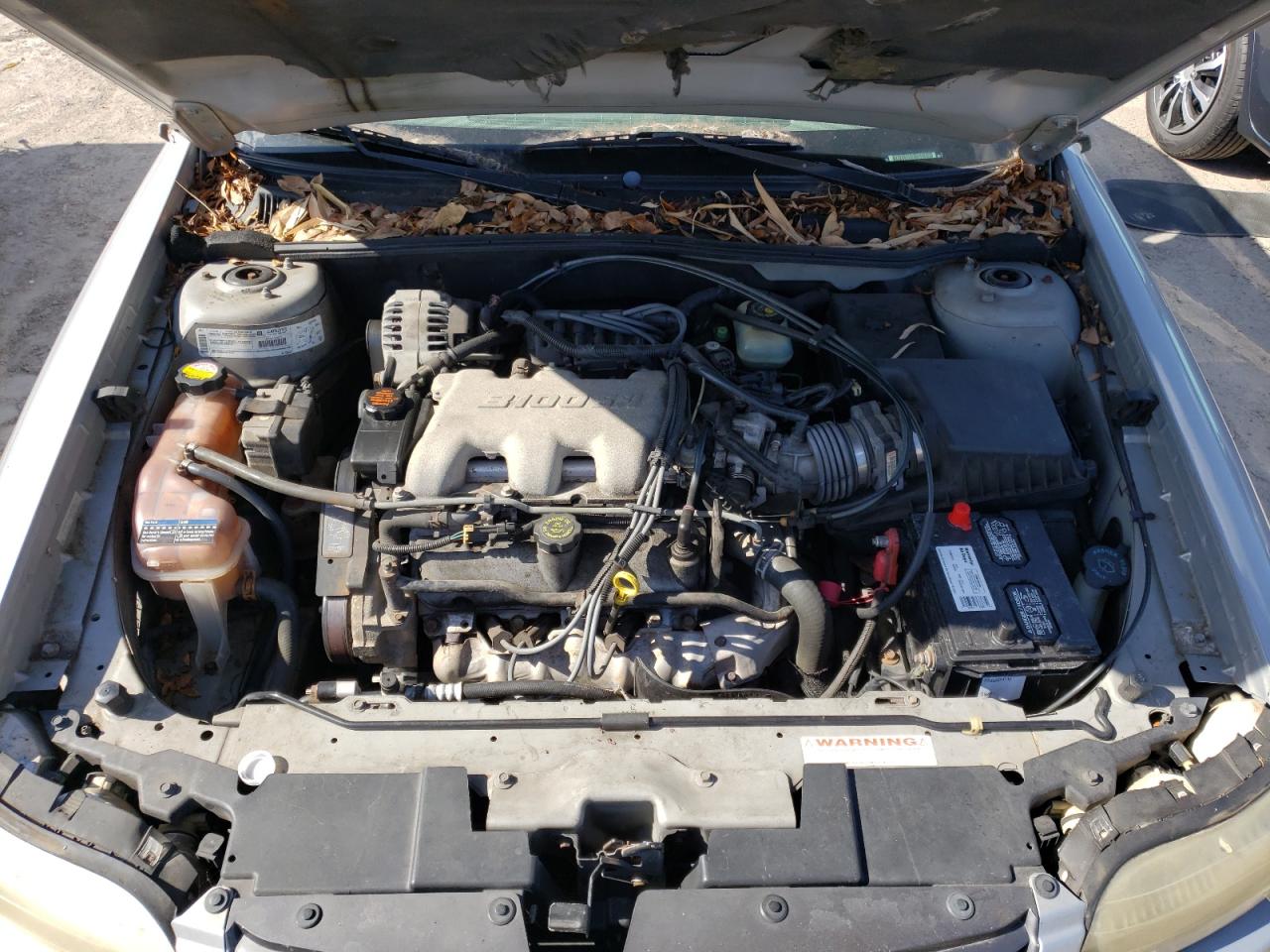 Photo 7 from auction – 2000 CHEVROLET MALIBU LS with VIN 1G1NE52J7Y6186194