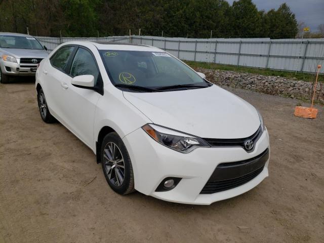 TOYOTA COROLLA L 2016 with VIN 2T1BURHE3GC497028 - Photo from auction