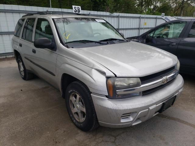 CHEVROLET TRAILBLAZE 2006 with VIN 1GNDT13S462118732 - Photo from auction