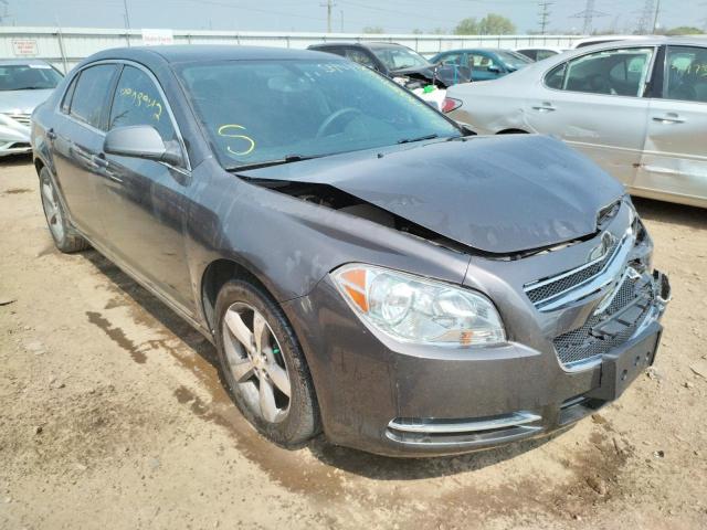 CHEVROLET MALIBU 1LT 2011 with VIN 1G1ZC5E16BF293117 - Photo from auction