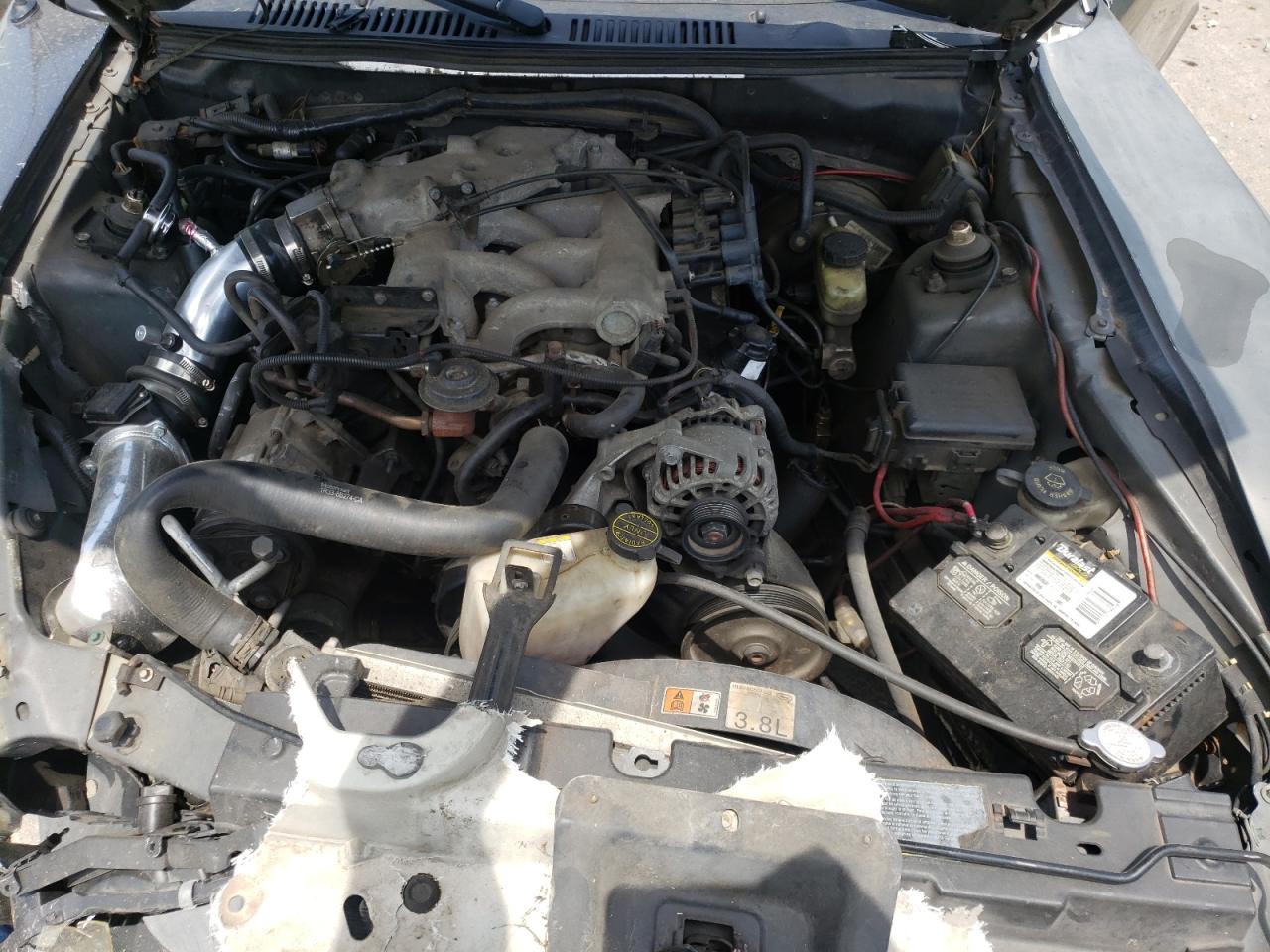 Photo 7 from auction – 2003 FORD MUSTANG with VIN 1FAFP40413F356951