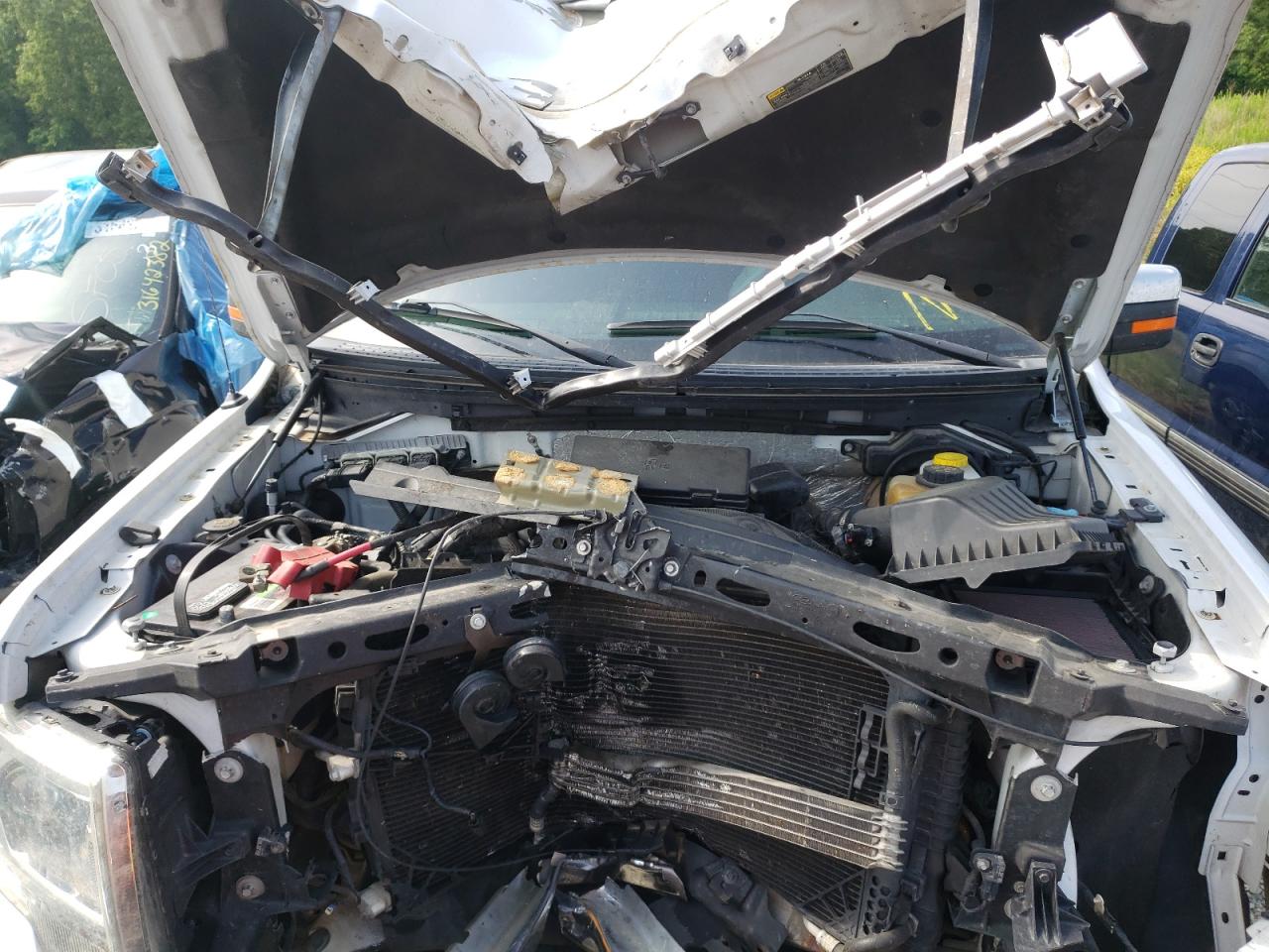 Photo 7 from auction – 2014 FORD F150 SUPER with VIN 1FTFW1EF0EKF69292