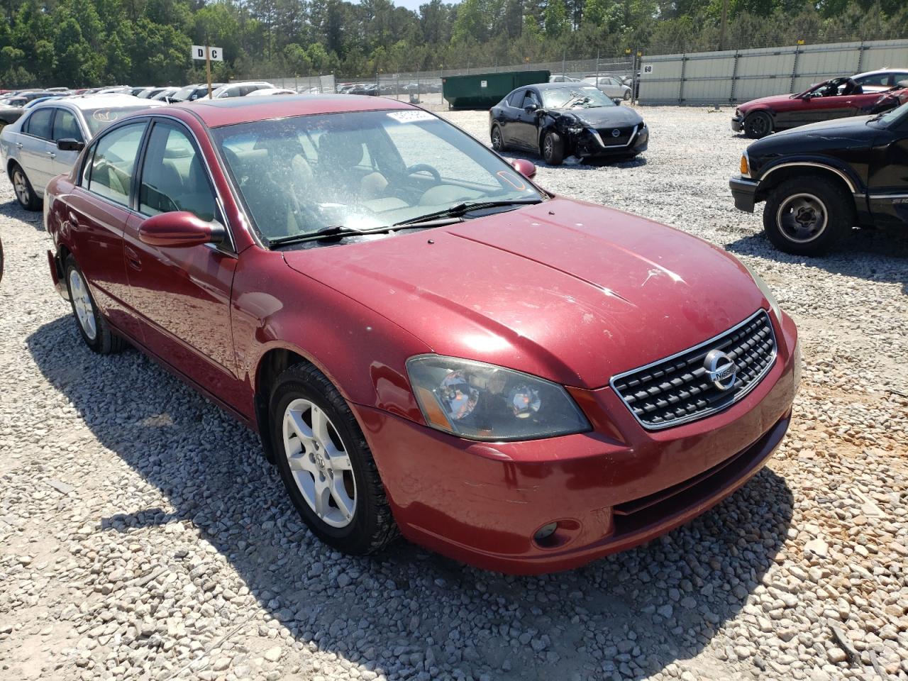 NISSAN ALTIMA S 2005 with VIN 1N4AL11D85C350104 - Photo from auction